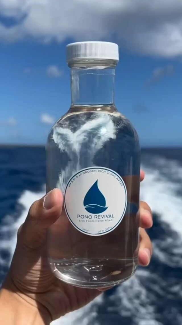 Hydrogen Water Bottle – Revive